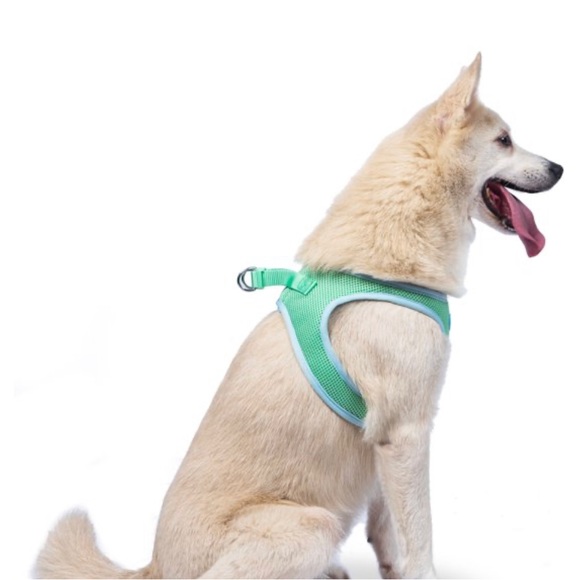 Dog VEST - Step-in DOG Harness - Unisex light GREEN AND Blue.  Breathable mesh - Picture 6 of 9